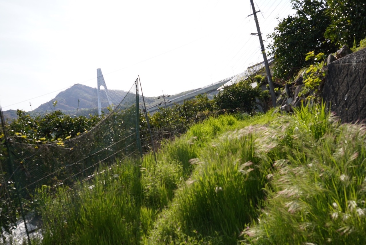 bikeroute